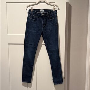 Agolde Women's Indigo Skinny Jeans